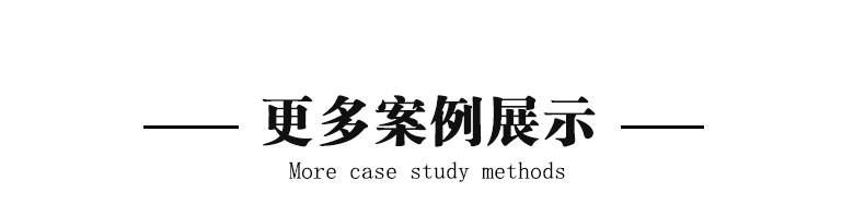 LD4111非标定制产品(图8)